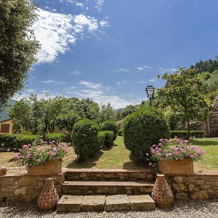 Coselli's Luxury Capannori